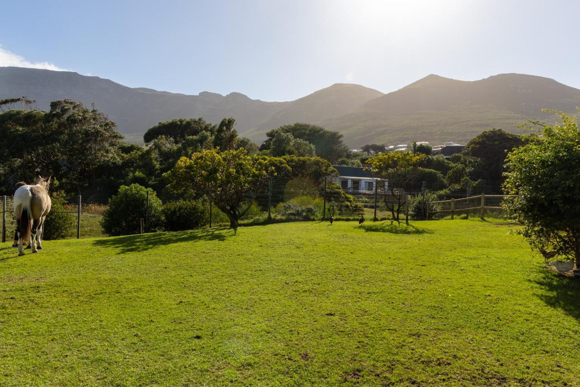 Serene, Thatched Apartment In Noordhoek, Cape Town Bagian luar foto