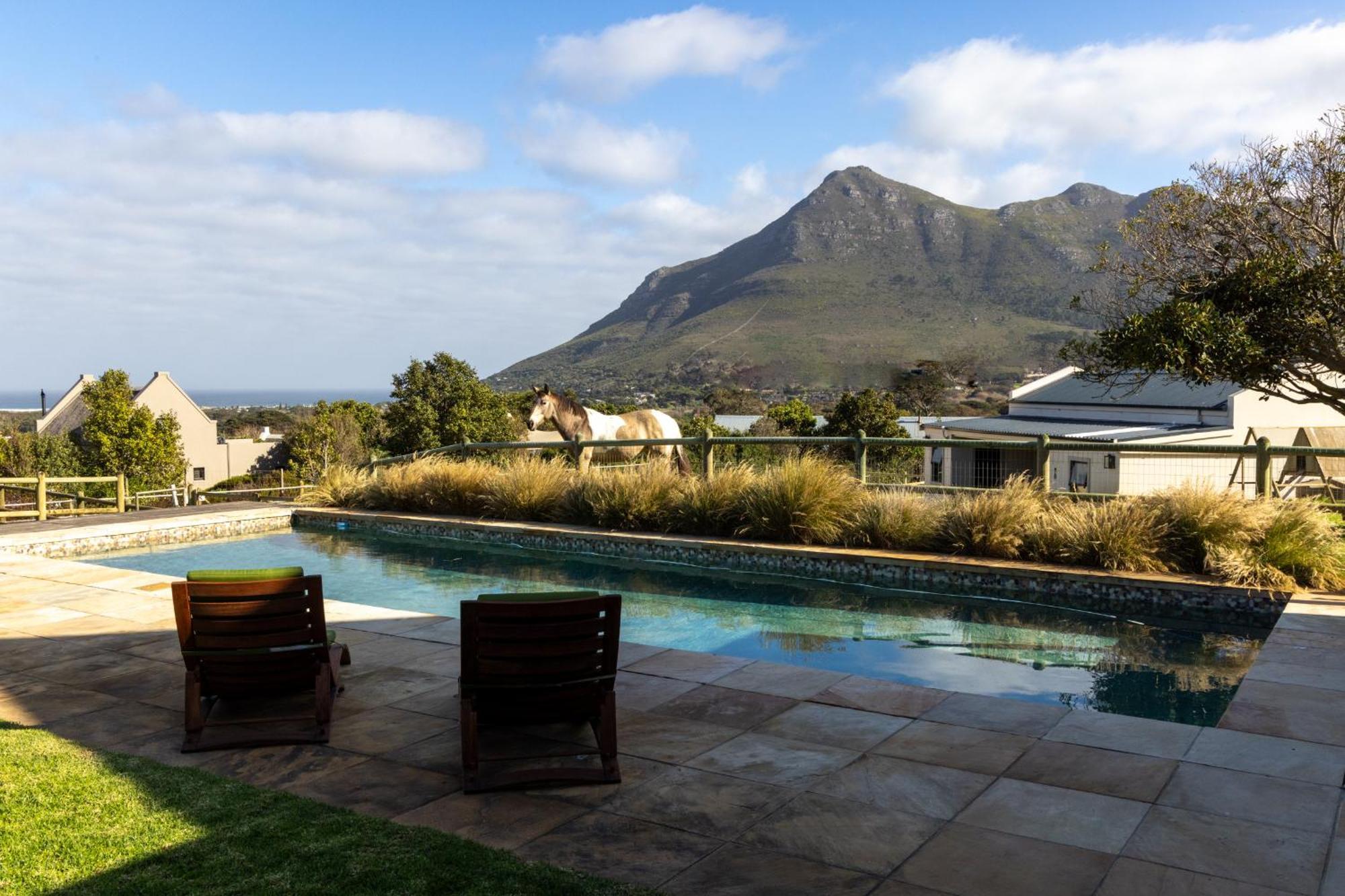 Serene, Thatched Apartment In Noordhoek, Cape Town Bagian luar foto